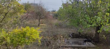 Bağ evlərinin satışı: Bağ sahəsi və köhnə tikili - Geniş, yaşıllıqla əhatələnmiş bağ — 5
