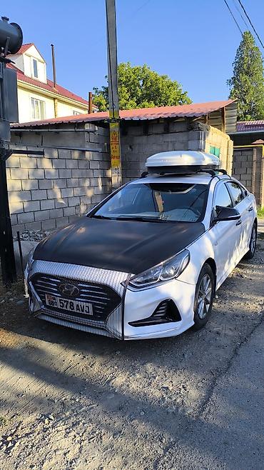 Hyundai Sonata: 2019 г., 2 л, Автомат, Газ, Седан
