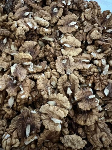 корень грецкого ореха цена: Продаю орехи грецкие колотые. 

Бишкек