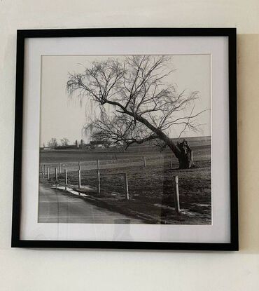 Картины и фотографии: Картина "Дерево", новая, размер 60 см х 60 см х 3.5 см