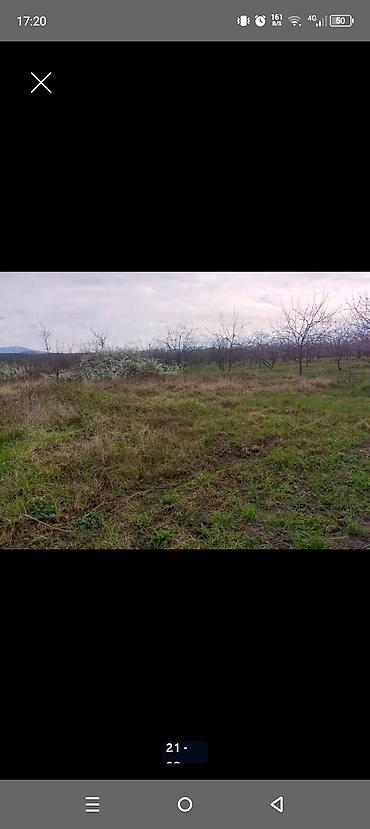 Torpaq sahələrinin satışı: Kənd təsərrüfatı — 20