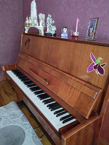 velosiped per page 40: "Kuban" Piano satılır. Tam islək vəziyyətdədir. Hec bir klavişində — 2