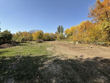 домик совхоз фрунзе: Дом, 8 м², 1 комната, Собственник