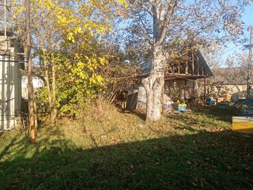 Həyət evi alıram: 128 kv. m, 8 otaq, Qaz, İşıq, Su — 23