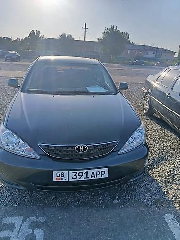 mark x: Toyota Camry: 2004 г., 2.4 л, Автомат, Газ, Седан — 3