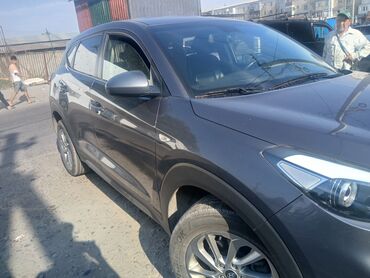купить авто хендай палисад: Hyundai Tucson: 2017 г., 2 л, Автомат, Дизель, Кроссовер