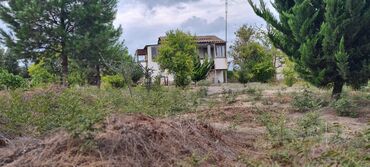 Torpaq sahələrinin satışı: Kupça (Çıxarış) — 4