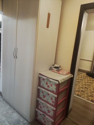 шкаф для прихожей комнаты: Кийим салуучу шкаф, Колдонулган, Түз, ЛДСП