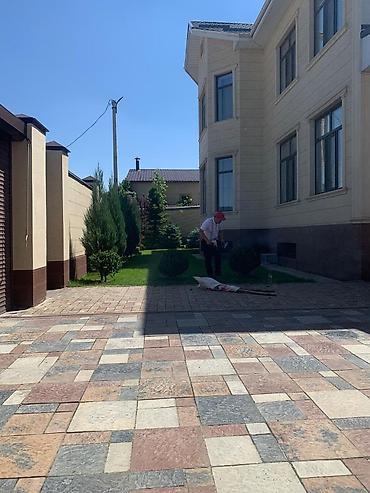 комн цветы: Ландшафтные работы под ключ для частных дворов и участков. Что — 6