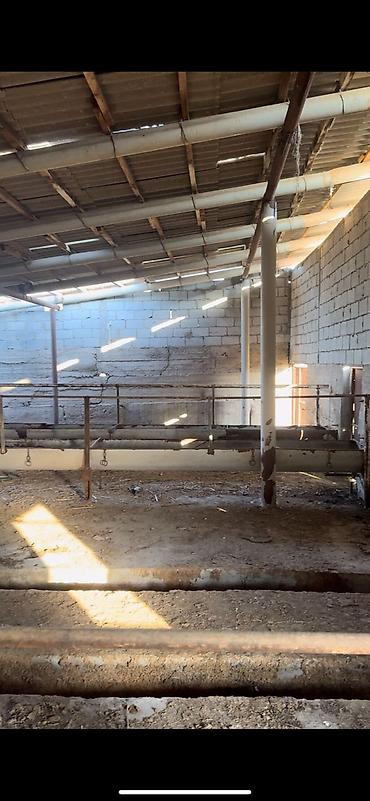 оптовый товар: Farm КРС, 97 соток, Действующий, Частично с оборудованием, Электричество, Скважина — 5