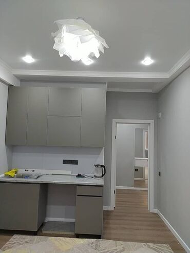 сдаётся квартира фучика: 1 комната, 42 м², Элитка, 9 этаж, Евроремонт