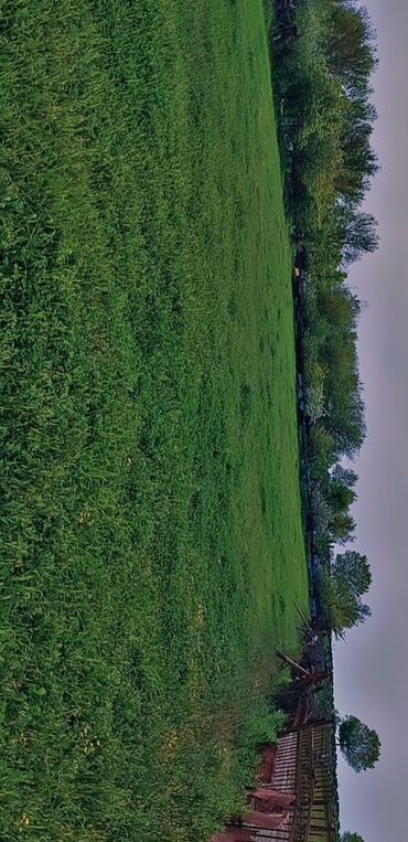 Torpaq sahələrinin satışı: 10 sot, Tikinti, Mülkiyyətçi, Bələdiyyə — 8