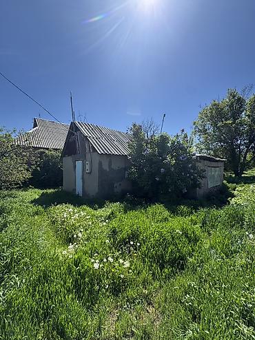 фудбольный поля: ✨ Продаётся участок земли в с. Гавриловка ✨ 🏡 — 1
