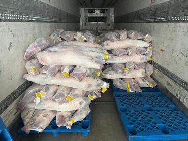 рубщик мясо: Баранина оптом в замороженном виде со всеми соответсвующими