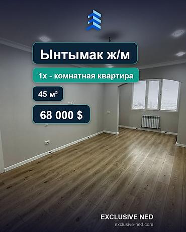 45: 1 комната, 45 м², Ынтымак ж/м Элитка, 3 этаж, Евроремонт — 1