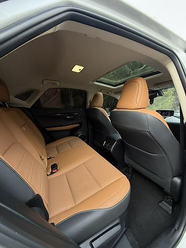 Lexus: Lexus NX: 2018 г., 2 л, Вариатор, Бензин, Кроссовер — 9