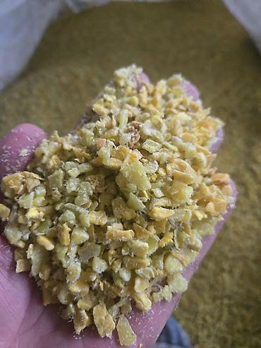 балыкчы кирпич завод: Məhsul: Plastik qırıntısı (PP və HDPE qarışığı) – yeşil və mavi — 9