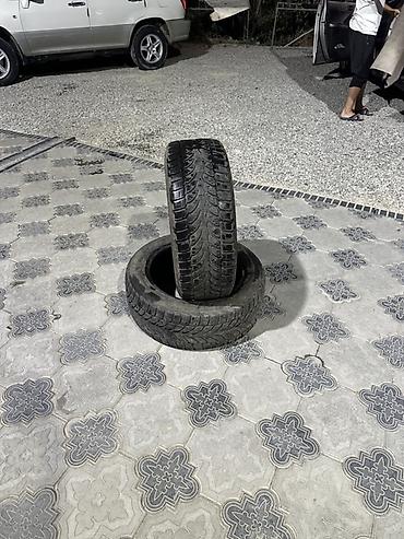 d 110: Пара автомобильных шин 205/55 R16. Европеец Особенности: - Размер — 2