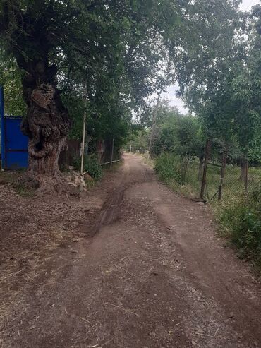 Torpaq sahələrinin satışı: 6 sot, Tikinti, Makler, Kupça (Çıxarış) — 11