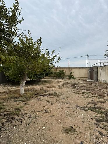 luks home: 5 sot, Tikinti, Makler, Kupça (Çıxarış) — 4