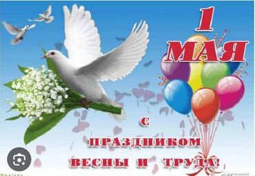 электрик работа бишкек: Тазалоочу. 1-2-жылдык тажрыйба