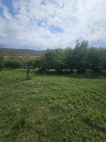 Продажа участков: 31 соток, Для бизнеса, Тех паспорт, Договор купли-продажи — 12