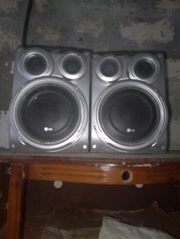 Dinamiklər və kolonkalar: LG Kolonka, Növ - Akustik, rəng - Gümüşü — 5