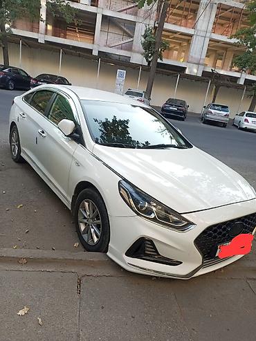 sonata 2008: Hyundai Sonata: 2021 г., 2 л, Автомат, Газ, Седан — 1