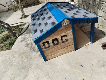 Başqa xidmətlər: İt Damı
Satılır 200 manat