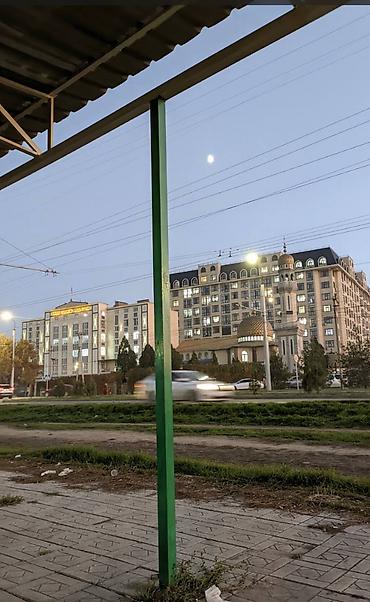 red centr: 5 соток, Красная книга — 4
