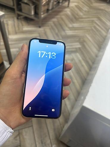 Apple iPhone: IPhone 12 Pro, 256 GB — 13