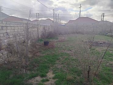 турб аз: 2 sot yarımnan çoxdu maşınla barterə üstünlük verilir — 1