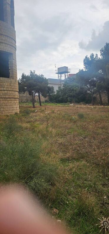 Torpaq sahələrinin satışı: 24 sot, Mülkiyyətçi, Kupça (Çıxarış) — 2