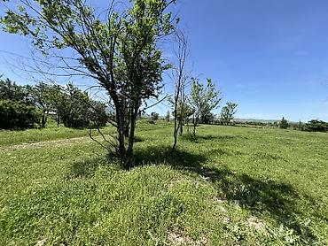 Продажа участков: 5 соток, Для строительства, Красная книга, Тех паспорт, Договор купли-продажи — 2