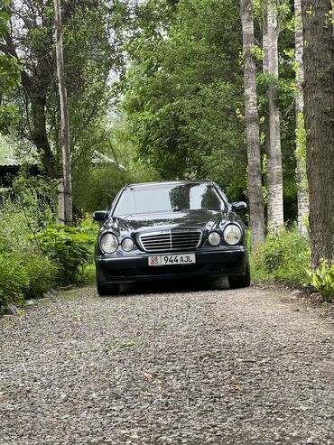 мерседес 124 е клас: Mercedes-Benz E-Class: 1999 г., 4.3 л, Автомат, Бензин, Седан