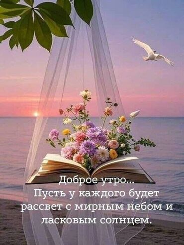 бампер опель вектра а: Срочно требуется медсестра, фельдшер, водитель. адрес Баха Магистраль