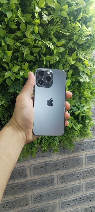 Apple iPhone: IPhone 13 Pro, 128 GB, Graphite, Face ID