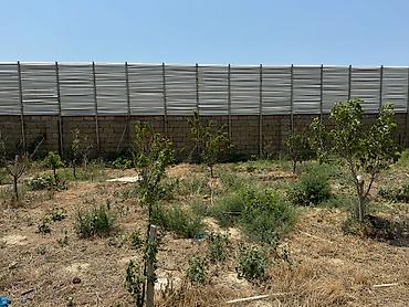 samaxida ev: Şıxov 12 otaq, 480 kv. m, Kredit yoxdur, Təmirsiz — 6