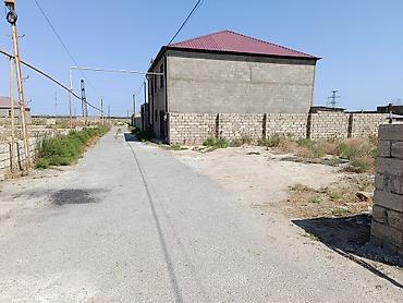 Tikinti