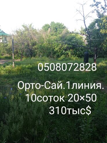 улуш жер ош: 10 соток, Бизнес үчүн, Кызыл китеп, Техпаспорт, Белек келишими