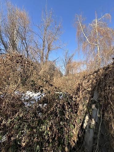 Продажа времянок: Продается дом/участок (времянка) в районе Аламединского рынка, по — 16