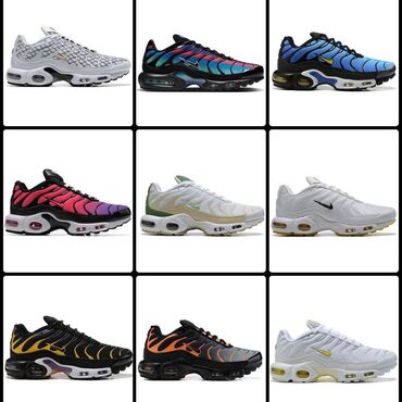 лоро пиано обувь мужская цена бишкек: Nike air tn plus доставка от 10 дней