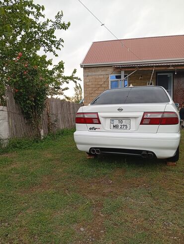 Nissan: Nissan Sunny: 1.6 l | 2000 il Sedan — 6