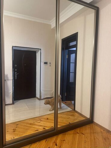 Kreslolar: İşlənmiş, Kupe, 2 qapılı Düz dolab, Dəhliz dolabı