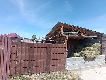 жаны уйлор: 2 соток, Айыл чарба үчүн, Кызыл китеп — 3
