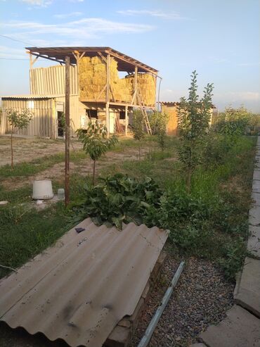 Продажа домов: Дача, 80 м², 4 комнаты, Собственник — 4