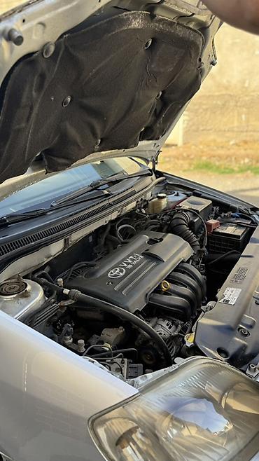 Toyota: Toyota Corolla: 2004 г., 1.6 л, Механика, Бензин, Седан — 2