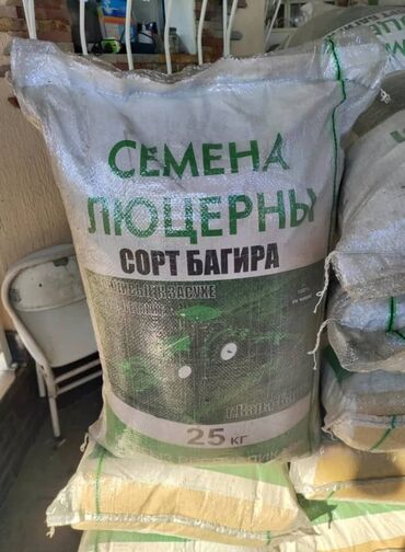 семена крапивы: Семена люцерны сорта Багира, упакованные в мешок весом 25 кг. Этот