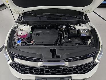 Kia: Kia Sportage: 2021 г., Кроссовер — 15