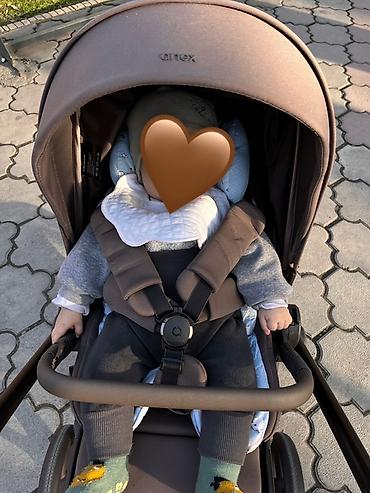 Коляски: Коляска «Anex flo»
Цвет кофе/коричневый — 4